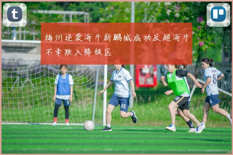 梅州逆袭海牛新鹏城成功反超海牛不幸跌入降级区