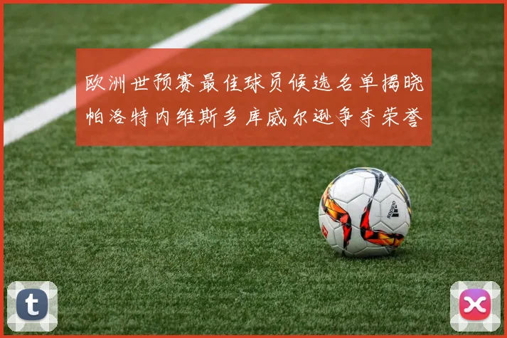 欧洲世预赛最佳球员候选名单揭晓帕洛特内维斯多库威尔逊争夺荣誉